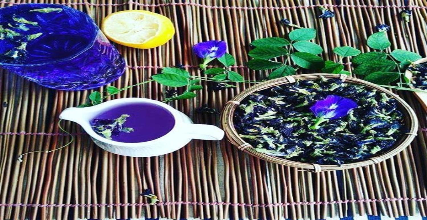 mine çiçeği çayı