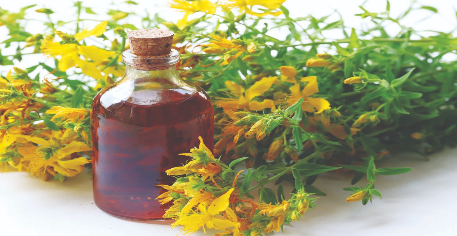 sarı kantaron yağı