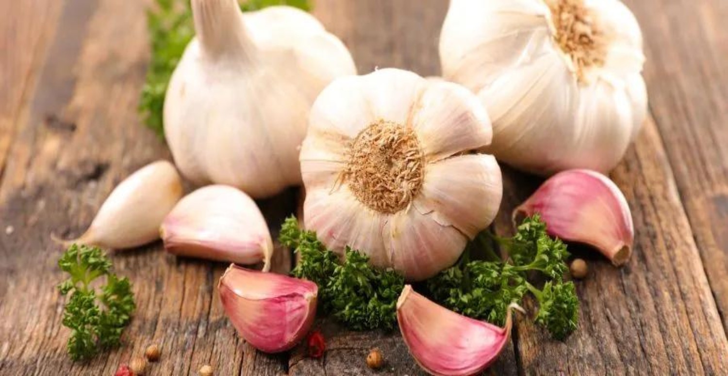 sarımsak nelere iyi gelir