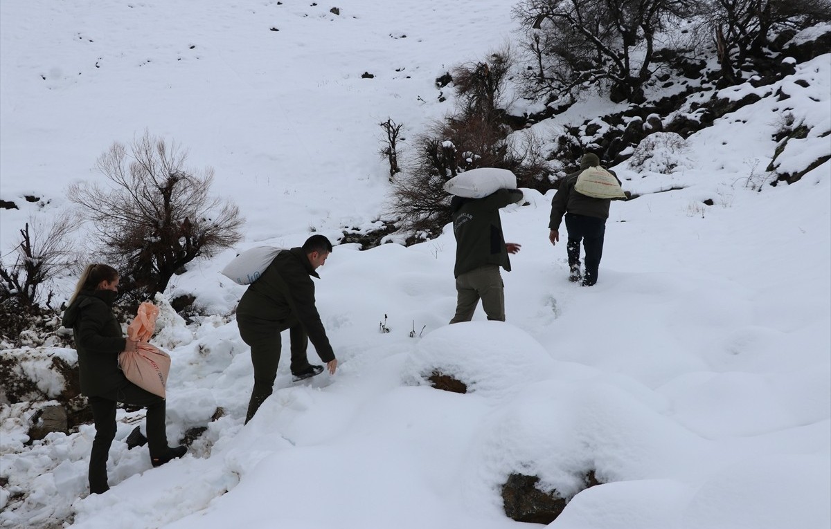 siirt şirvan ilçesi