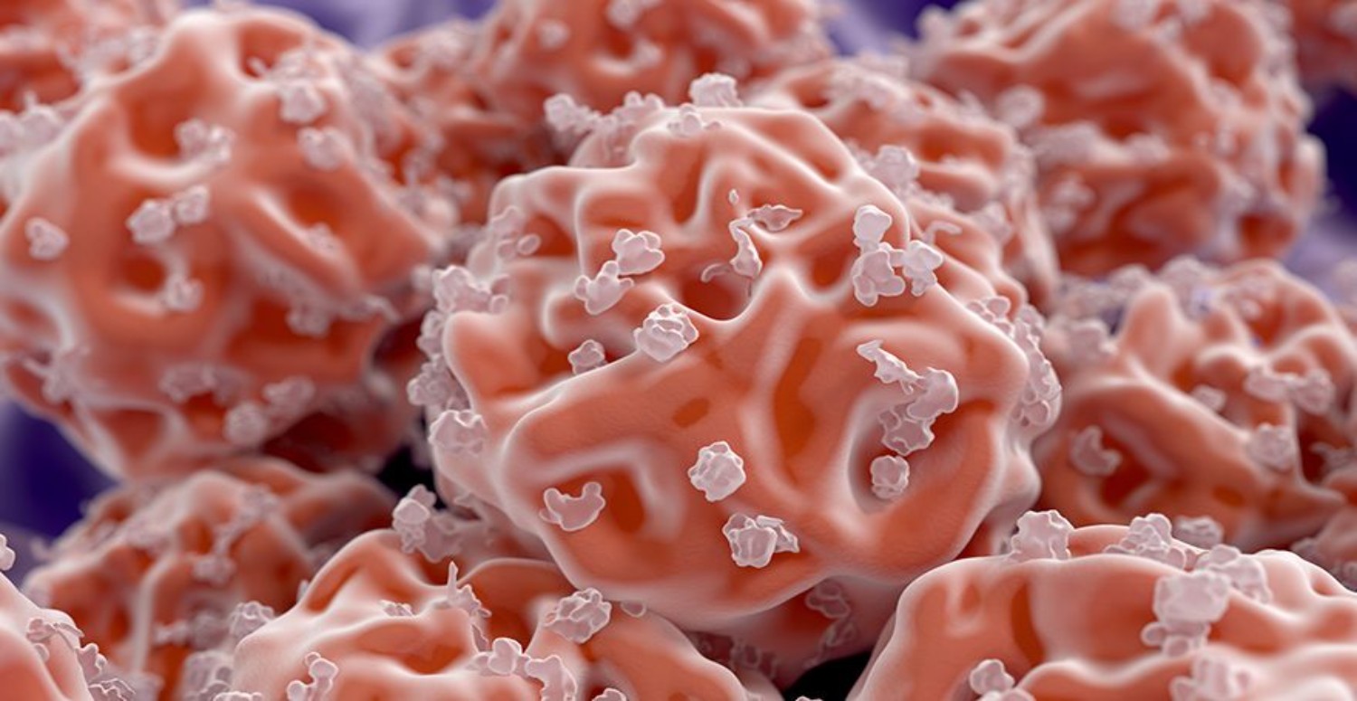 süt dişleri kök hücre tedavisi