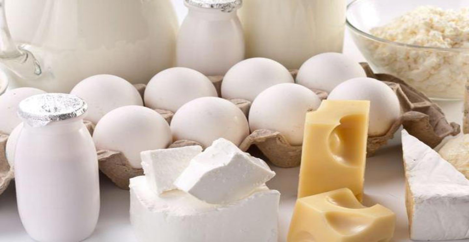 süt ve süt ürünleri