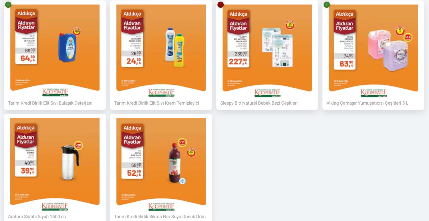 Tarım Kredi Kooperatif 13 19 Ocak aktüel katalogu