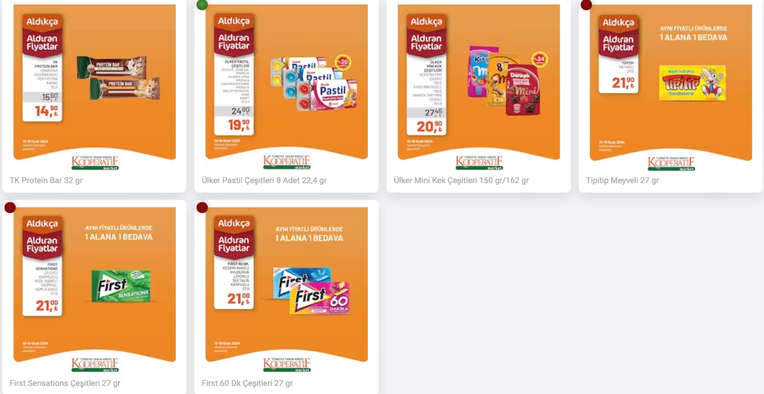 Tarım Kredi Kooperatif 13 19 Ocak aktüel katalogu