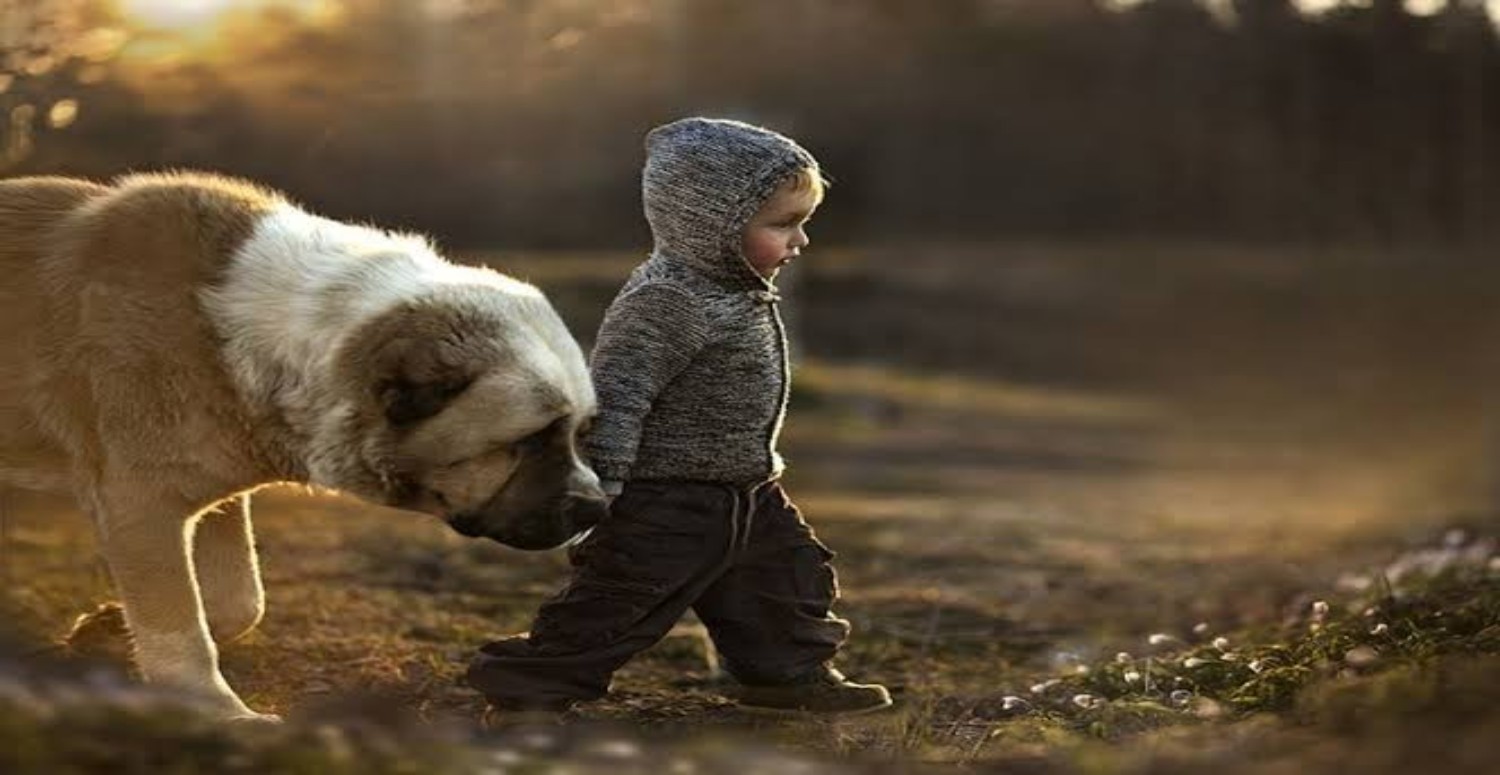 TEK ÇOCUK OLMANIN DEZAVANTAJLARI HAKKINDA