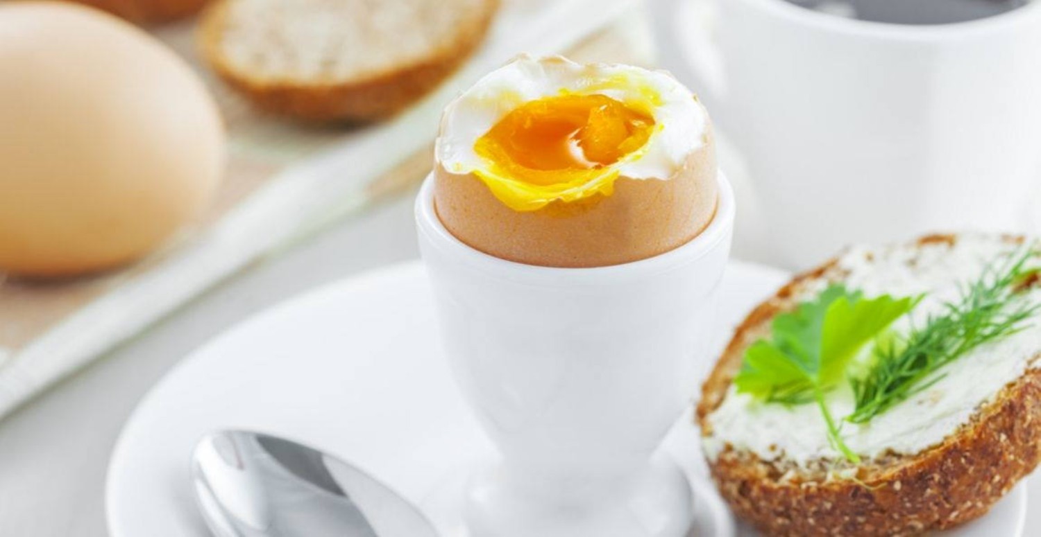 yumurta neye iyi gelir