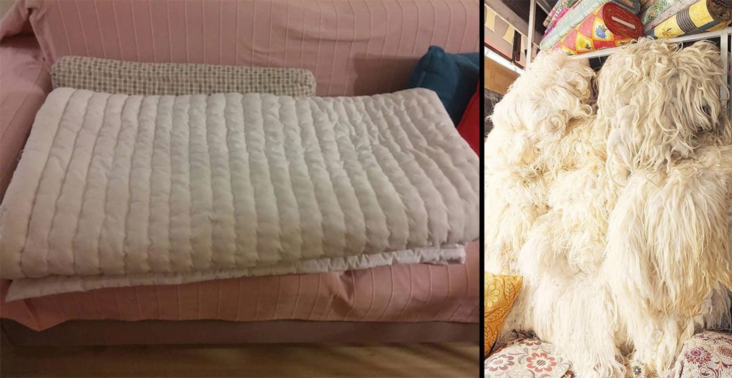 yün yorgan nasıl seçilir