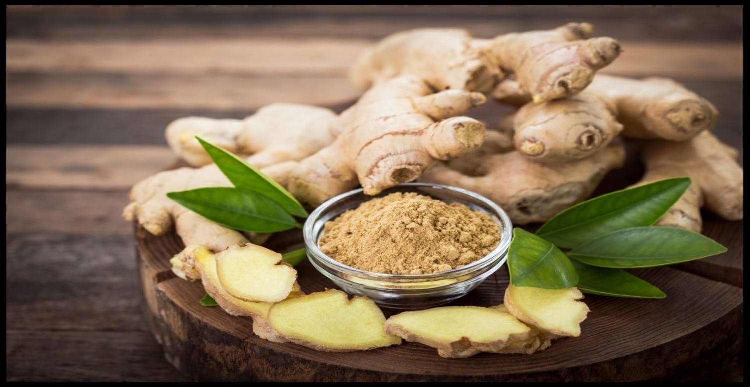 zencefilin yararları