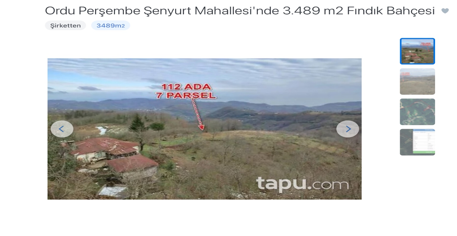 3489 Metre karelik fındık bahçesi 1 TL’den satışa çıkacak! 15 Şubat son gün