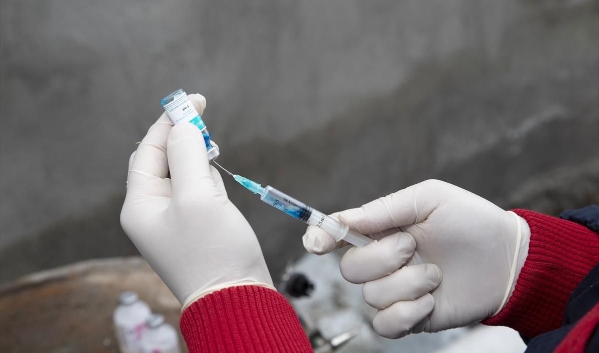 ağrı şap aşısı