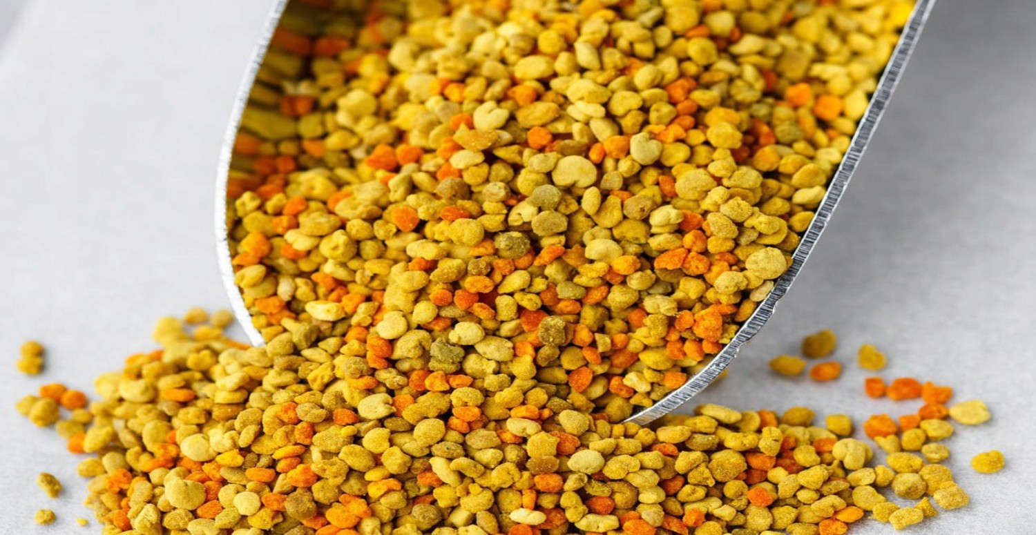 ARI POLENİ ÖZELLİKLERİ