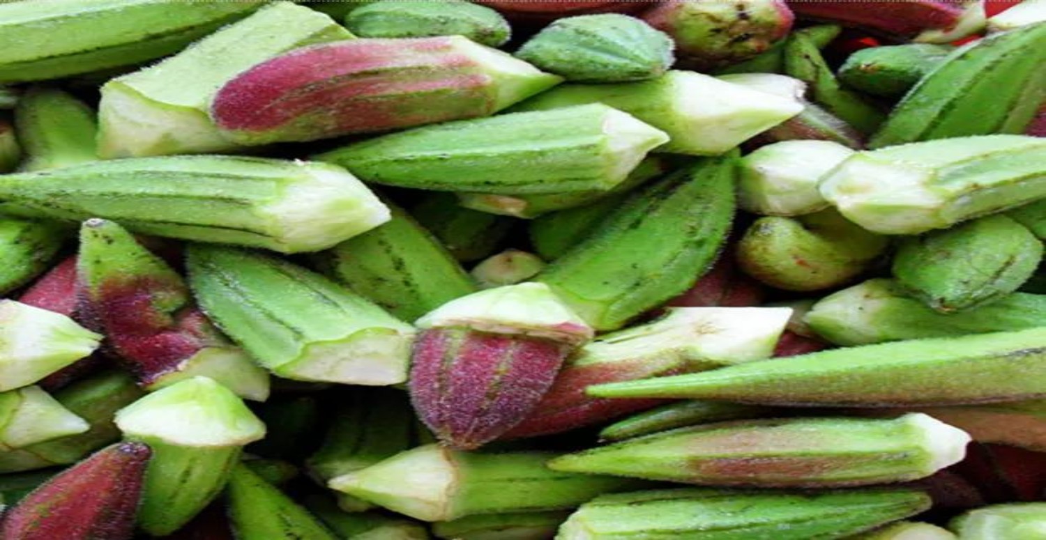 bamya tohumu neye iyi gelir