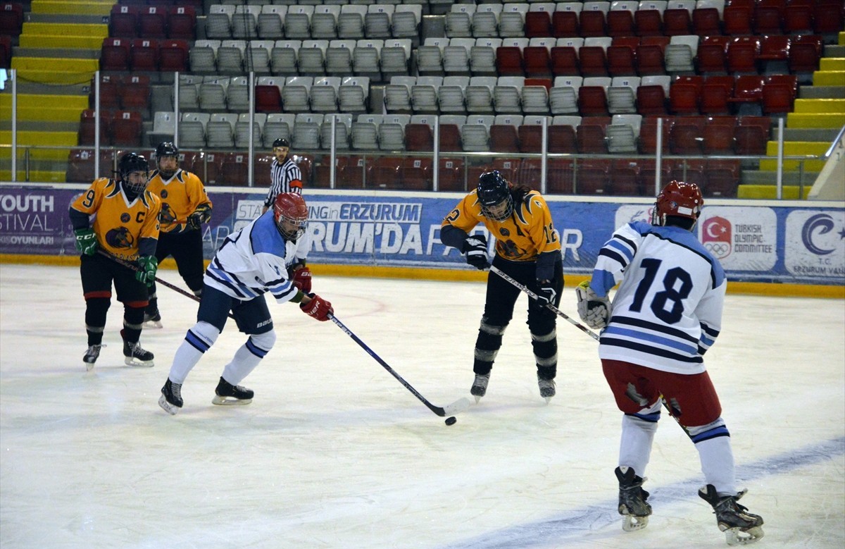 buz hokeyi federasyonu