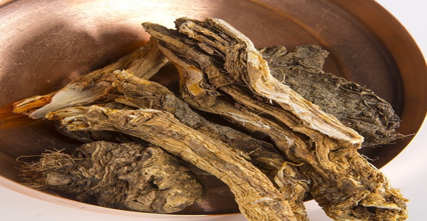 çakşır otu faydaları