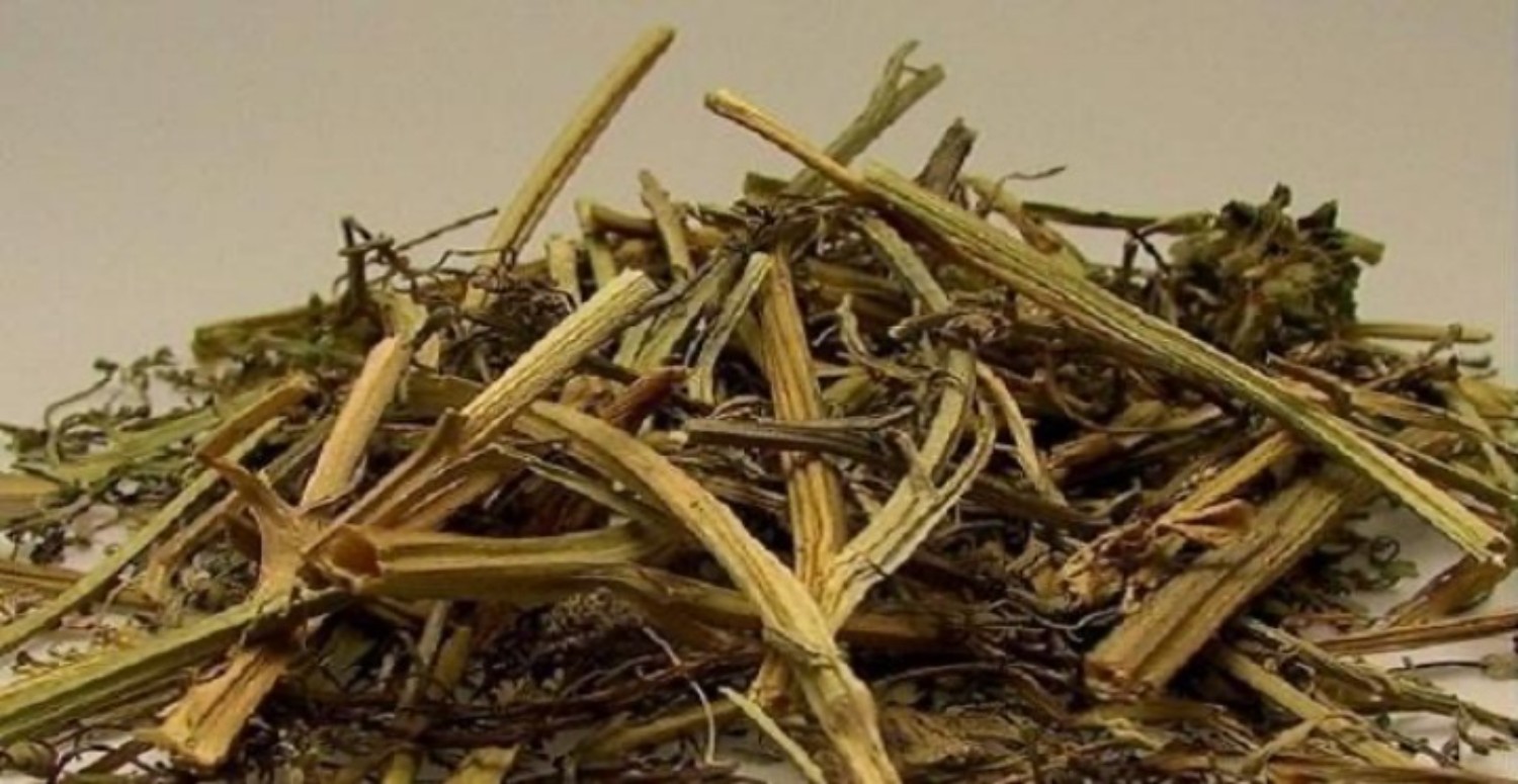 çakşır otu nasıl kullanılır