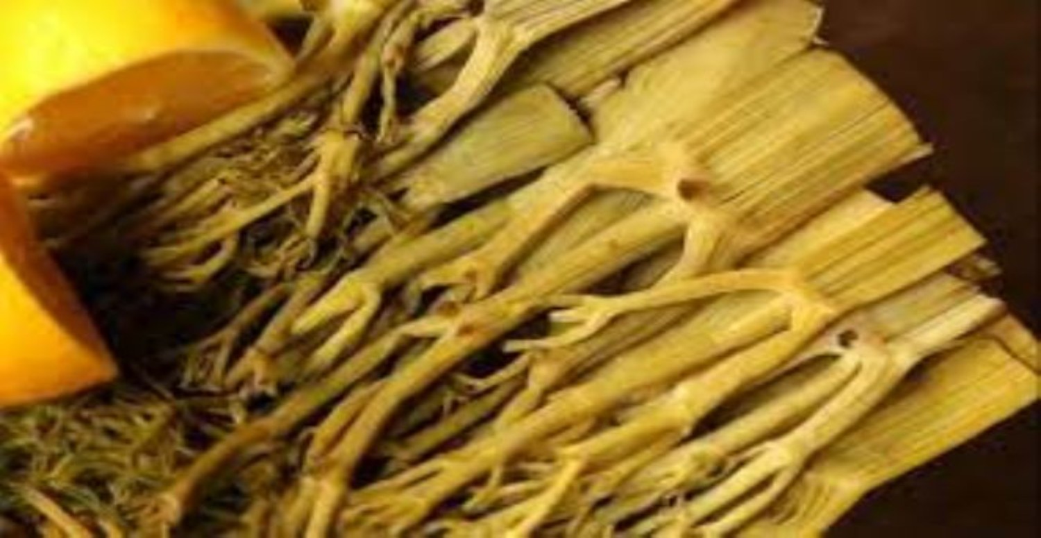 çakşır otu yan etkileri