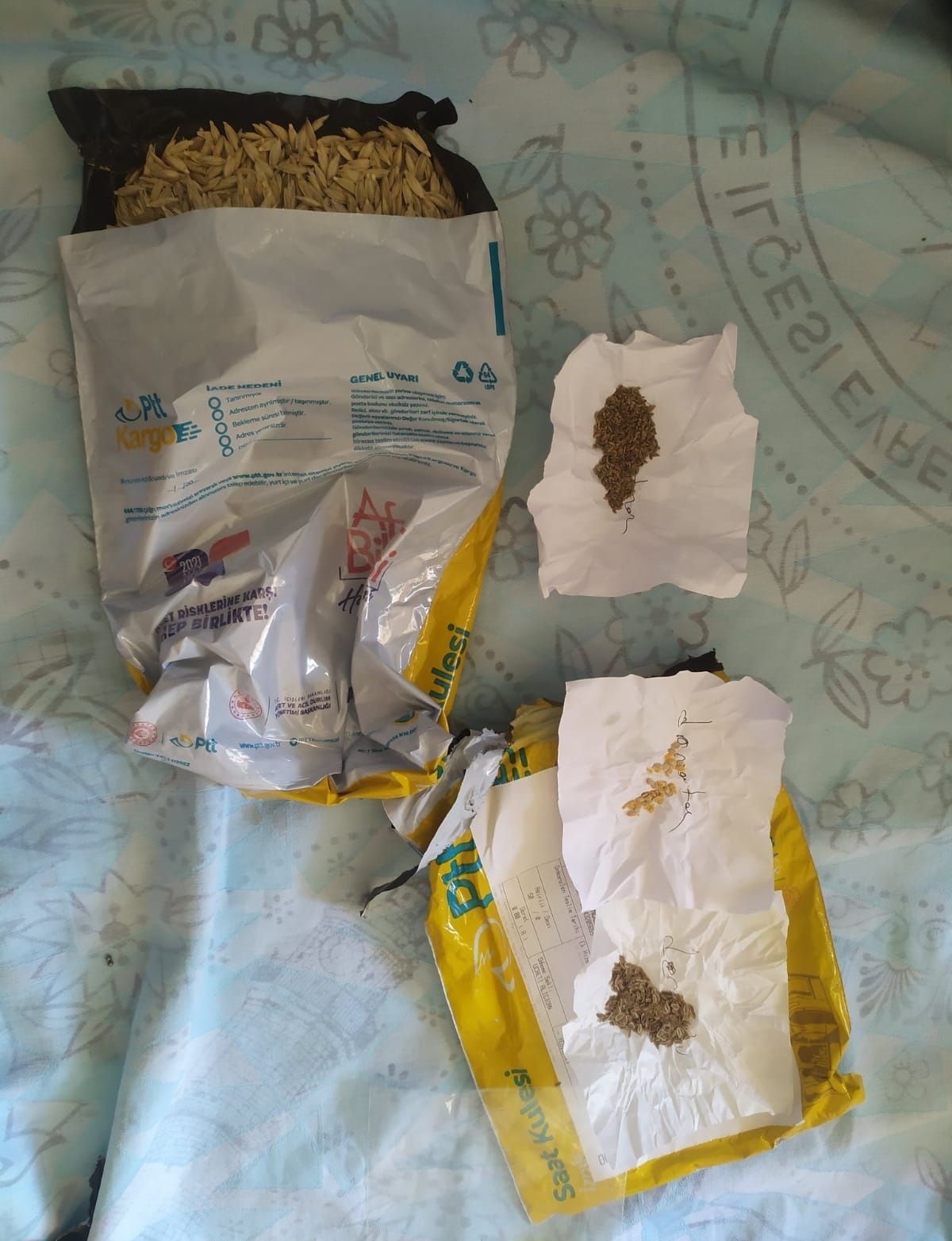 GDO’lu tohumlar için savaş başladı! Ücretsiz ata tohumu dağıtılıyor