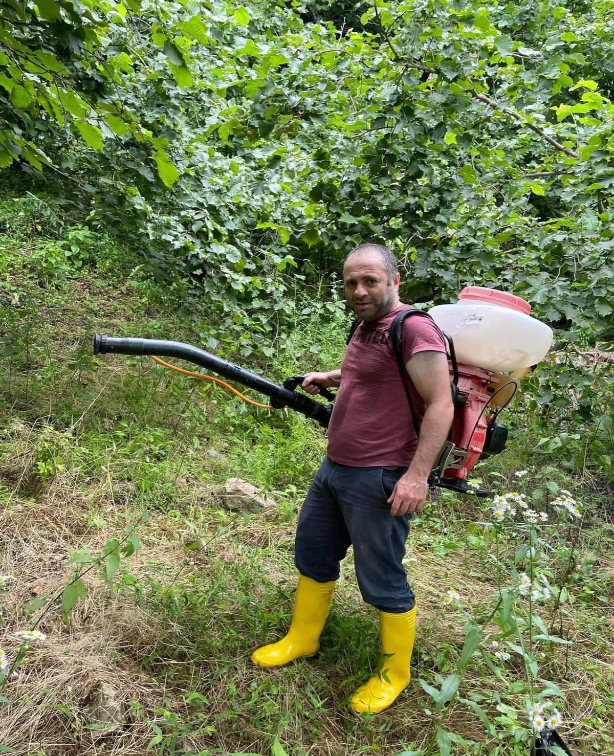 GDO’lu tohumlar için savaş başladı! Ücretsiz ata tohumu dağıtılıyor