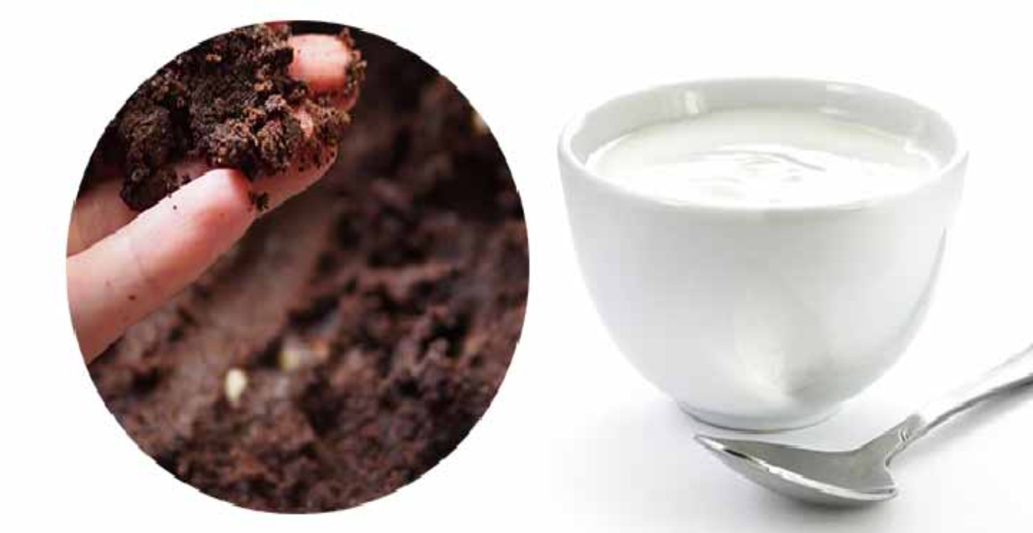 KAHVE VE SÜT MASKESİ