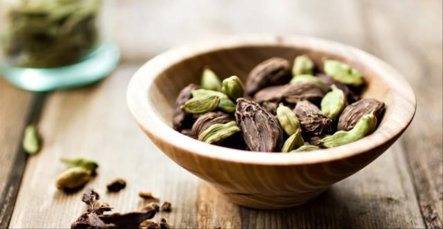 KAKULE ÖZELLİKLERİ