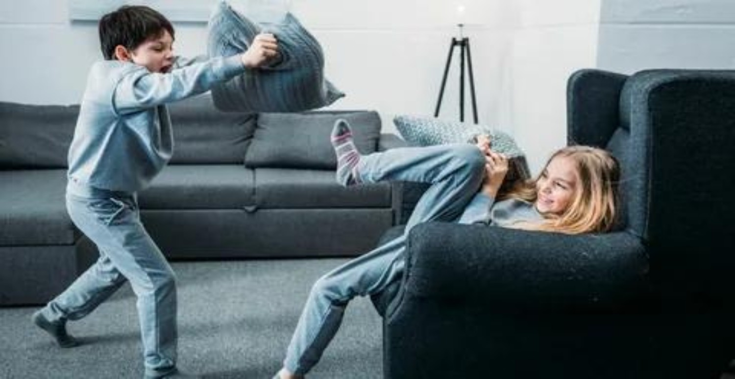 KARDEŞ KAVGASI HAKKINDA