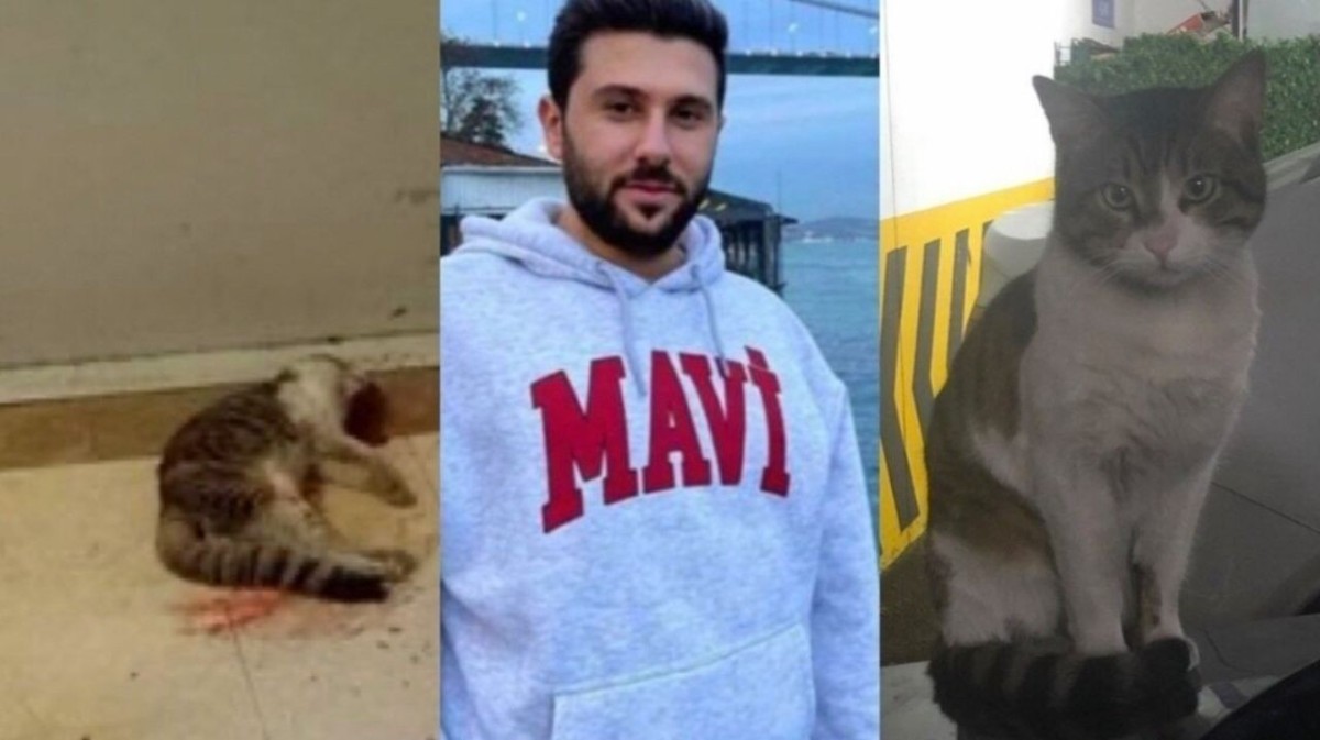 katil ibrahim keloğlan