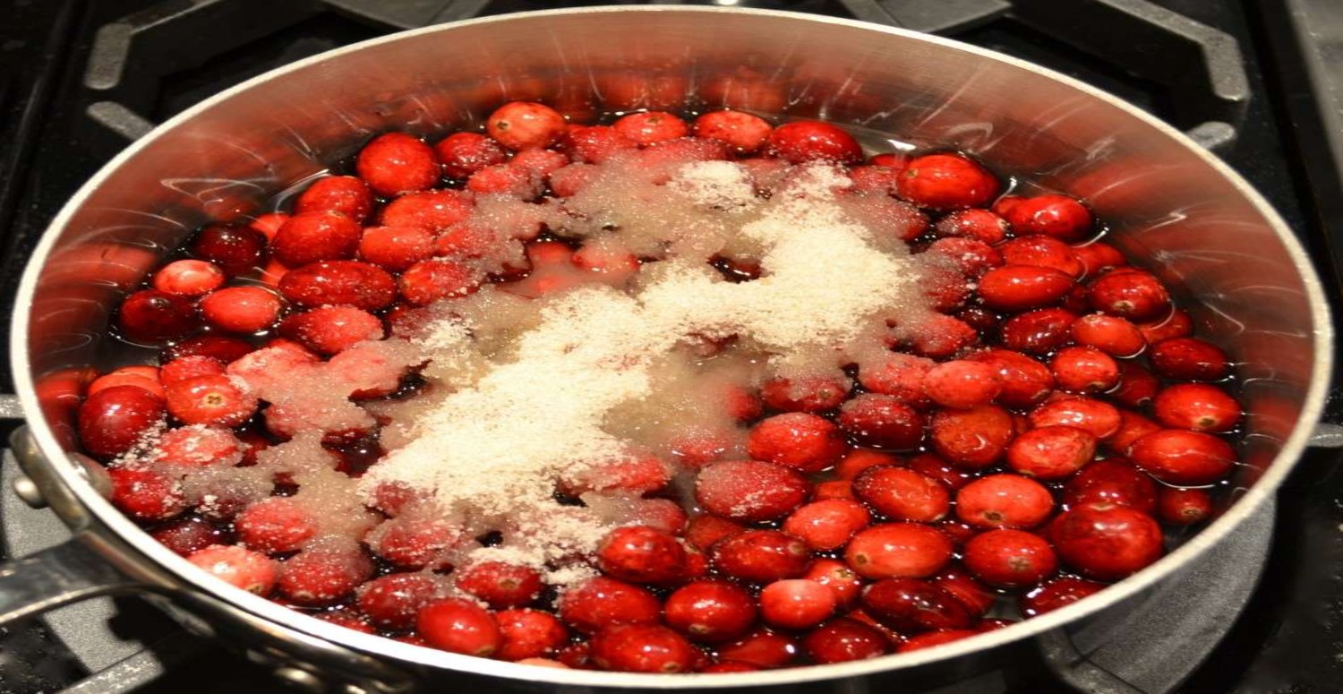 kızılcık şerbeti hakkında