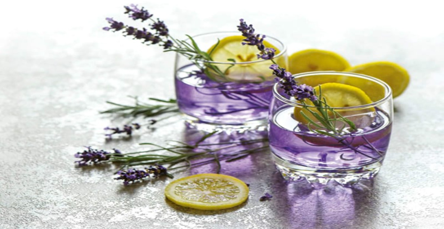 LAVANTA VE LİMON HAKKINDA