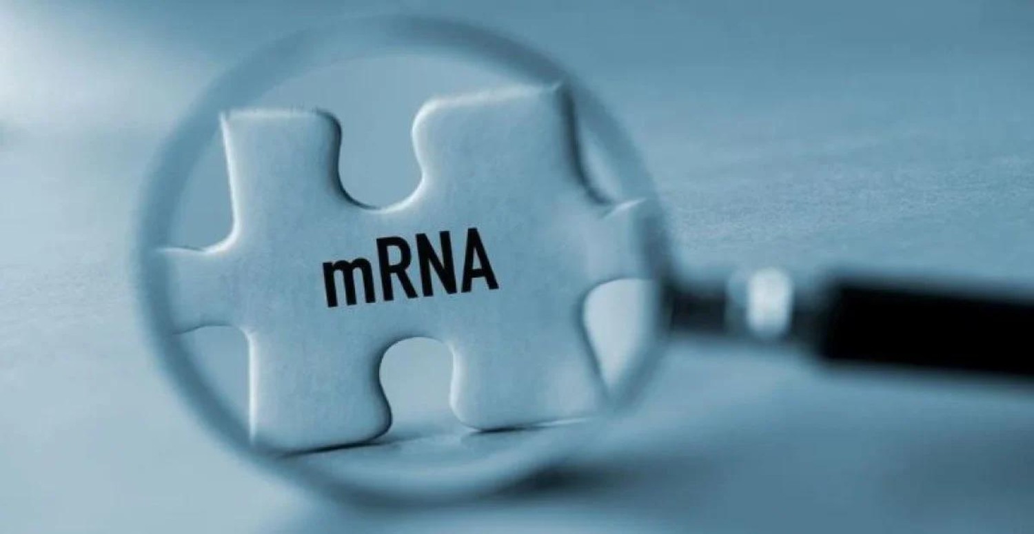 mRNA