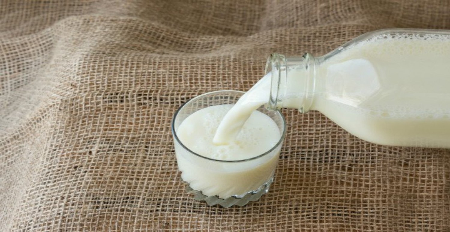 neden günlük süt tüketmeliyiz