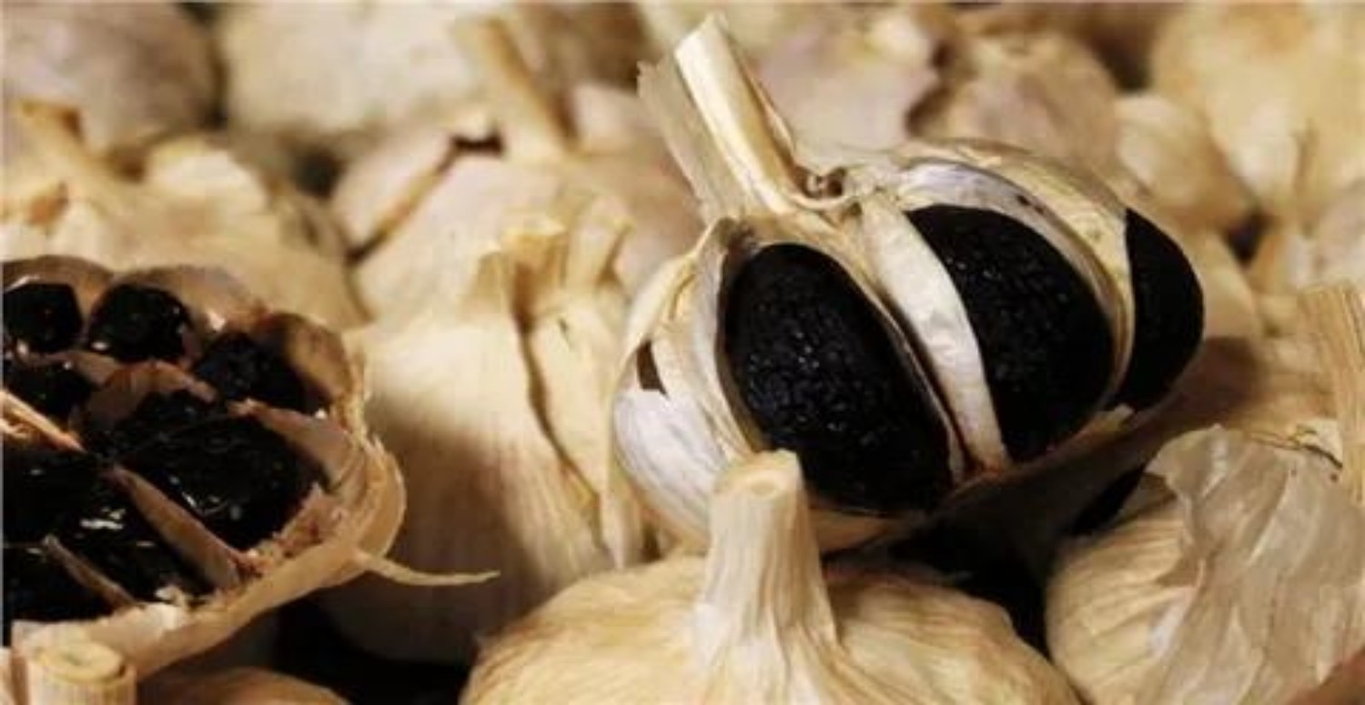 SİYAH SARIMSAK NEDEN OLUR