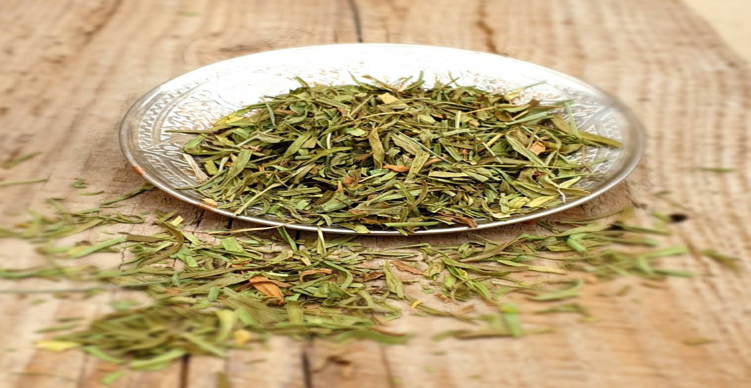 tarhun otu neye yarar