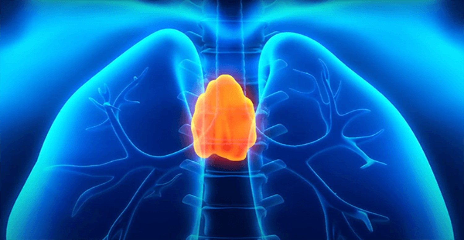 timuz bezi nasıl uyarılır