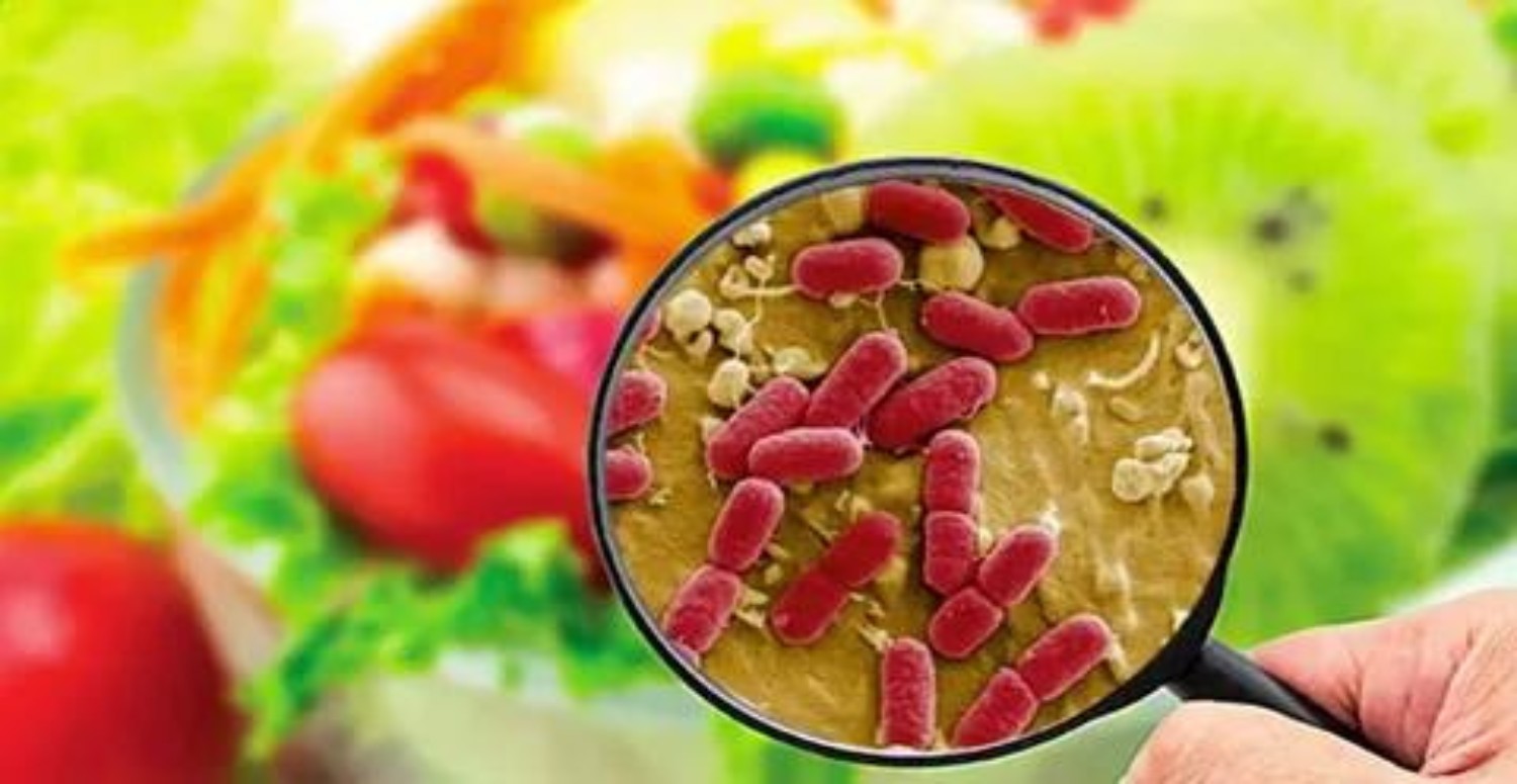 yanmemesi gerekilen gıdalar hakkında