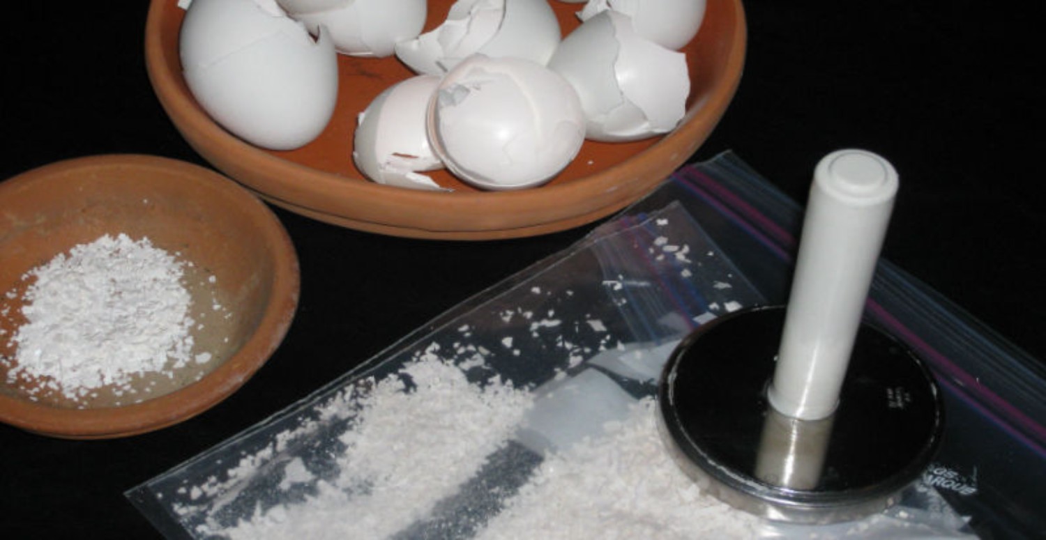 YUMURTA KABUĞU HAKKINDA