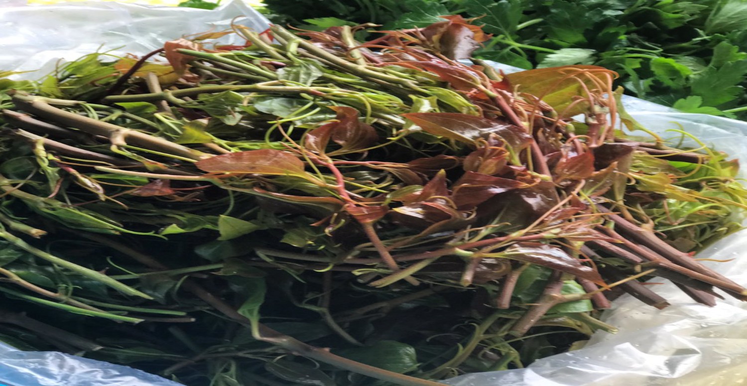 diken otu fat-ydaları