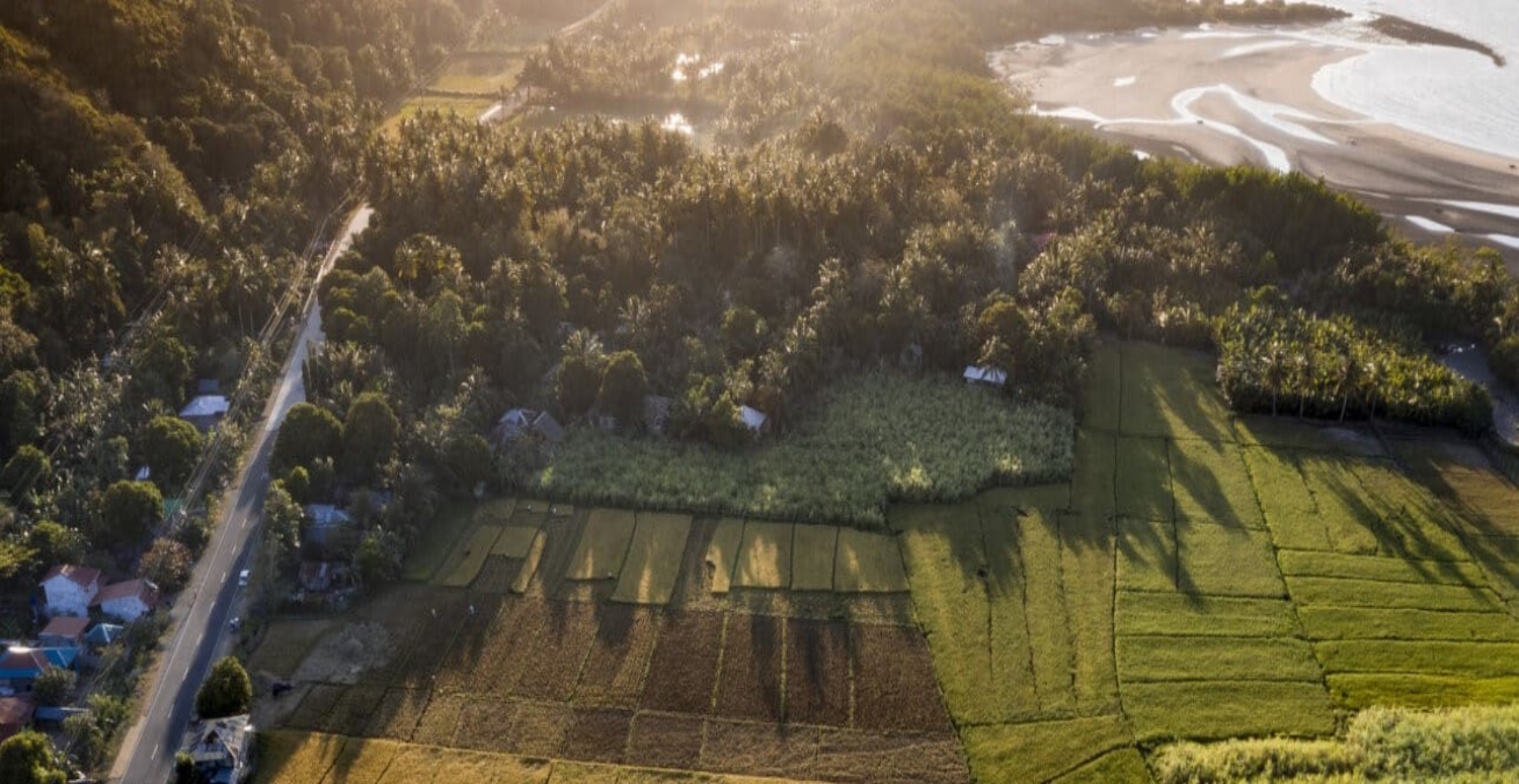 33 ilde yaşayanlara KDV'siz arsa satışı! TOKİ müjdeyi patlattı