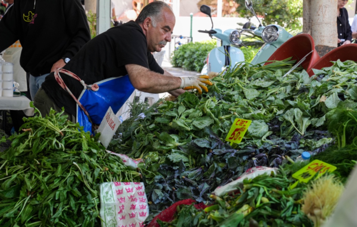 Alaçatı ot festivali