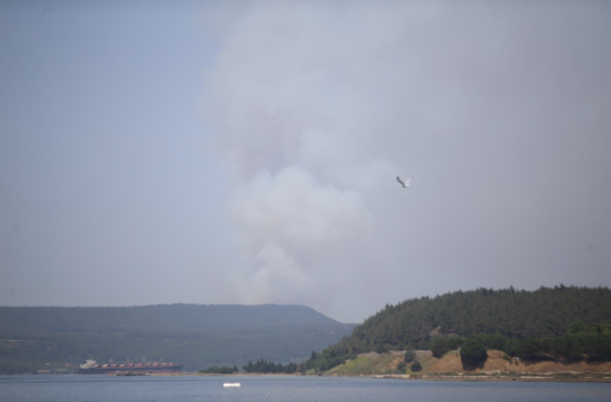 çanakkale yangın