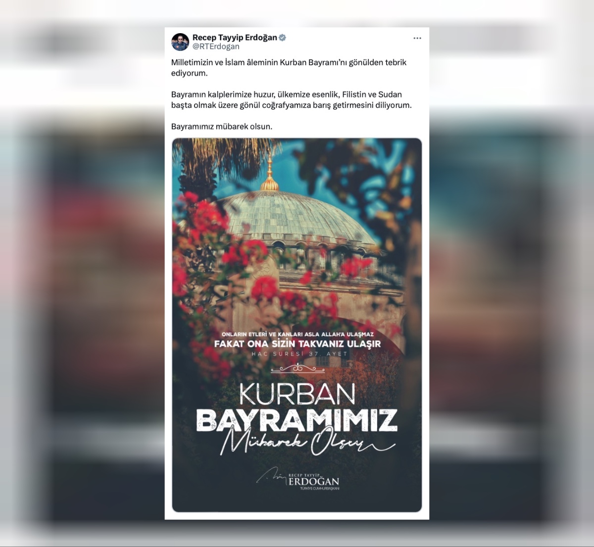 cumhurbaşkanı erdoğan