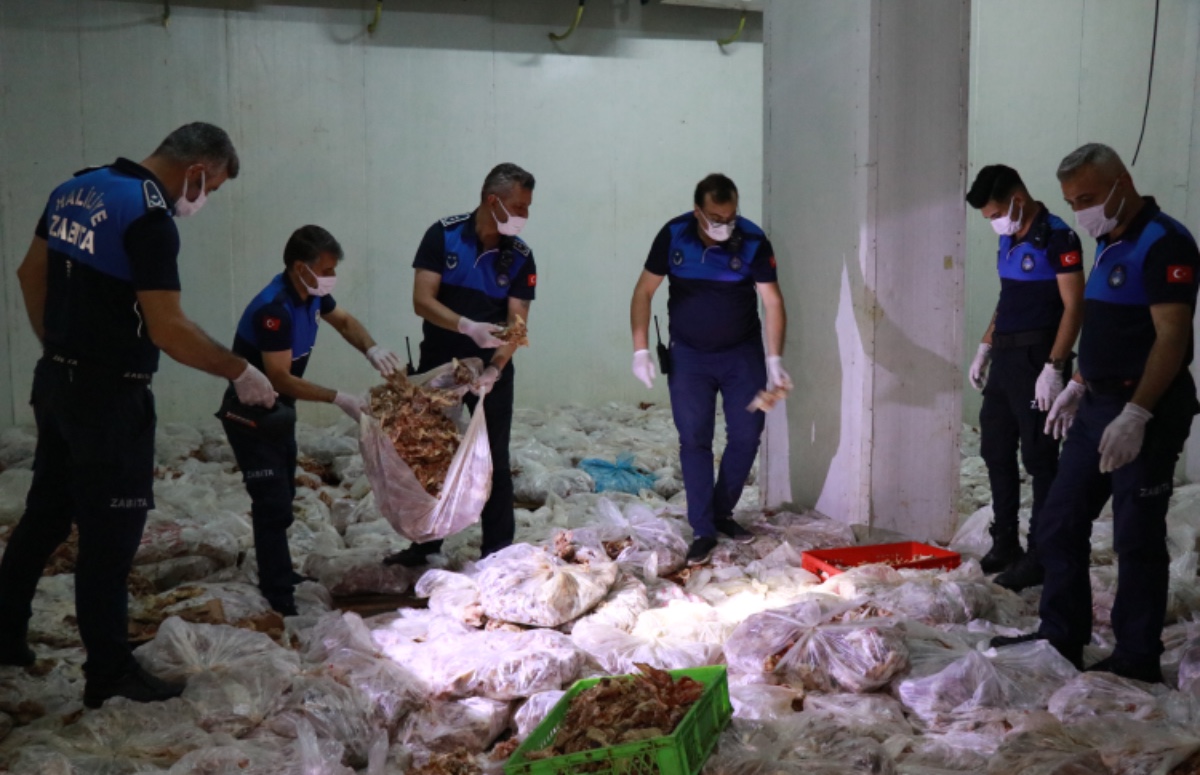 etiketsiz tavuk Şanlıurfa