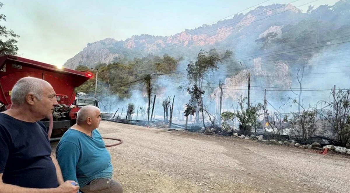 Kadir'in Ağaç Evleri
