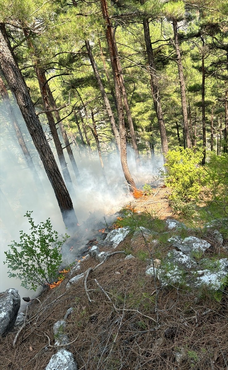 Adana'nın Feke ilçesinde ormanlık alanda çıkan yangın, havadan ve karadan müdahaleyle kontrol...
