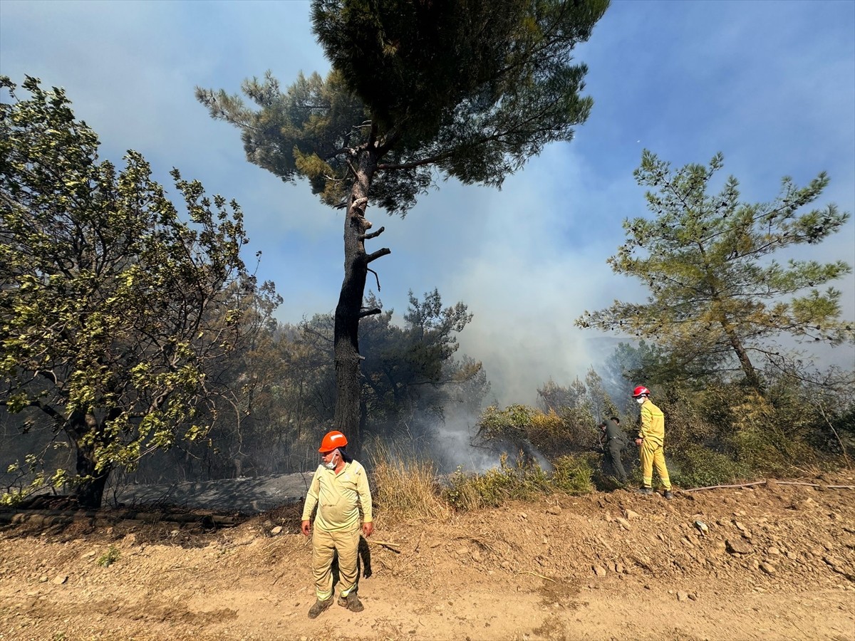 Adana'nın Kozan ilçesinde çıkan orman yangınına karadan ve havadan müdahale edildi.