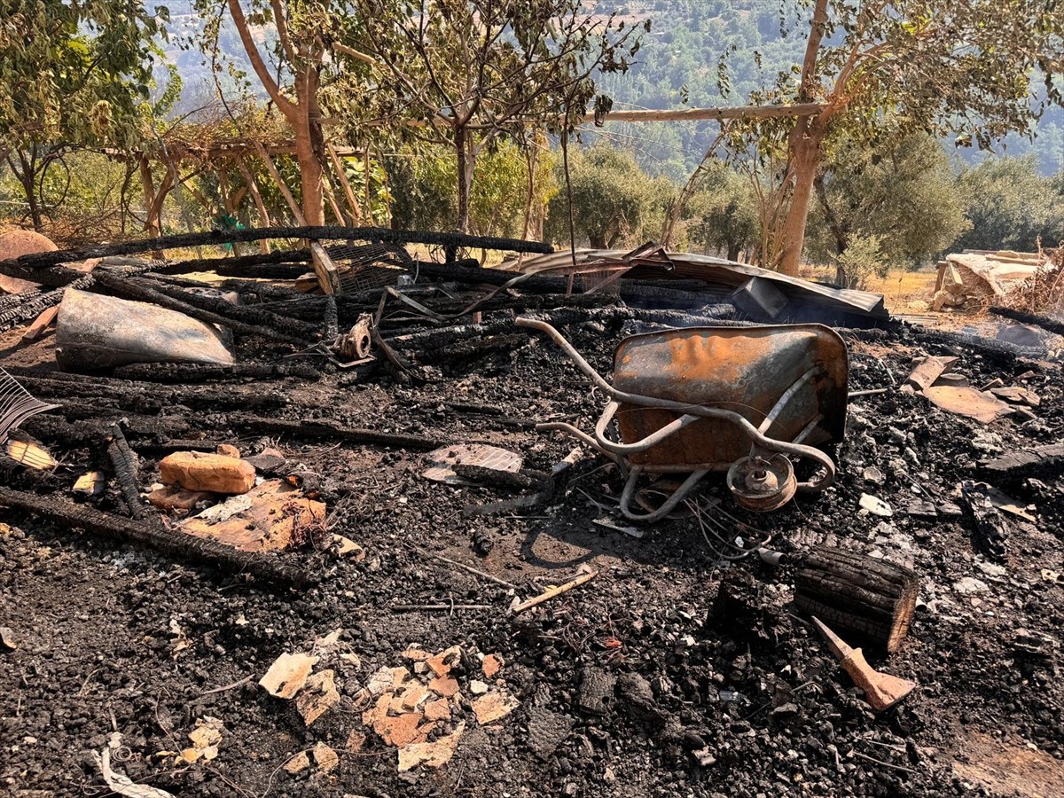 Adana'nın Kozan ilçesinde çıkan orman yangınına karadan ve havadan müdahale edildi.