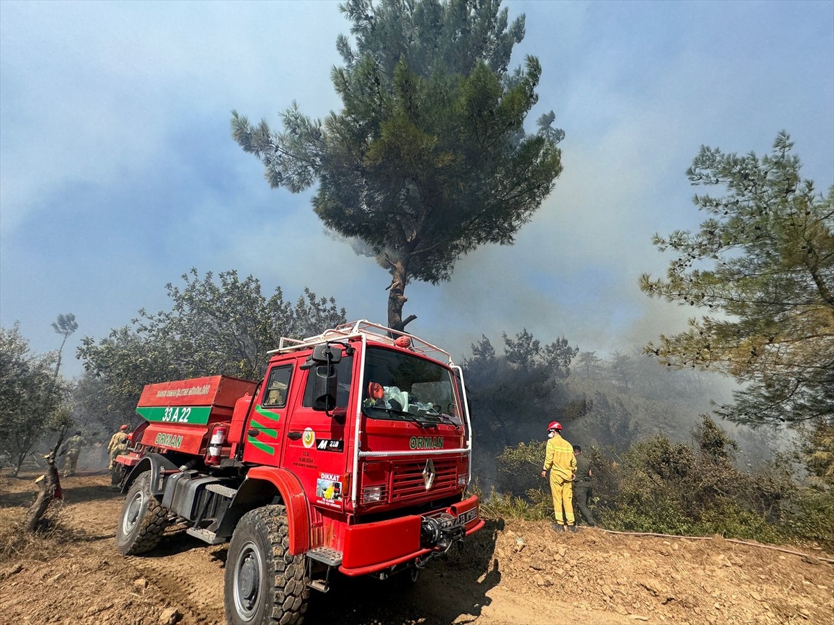 Adana'nın Kozan ilçesinde çıkan orman yangınına karadan ve havadan müdahale edildi.