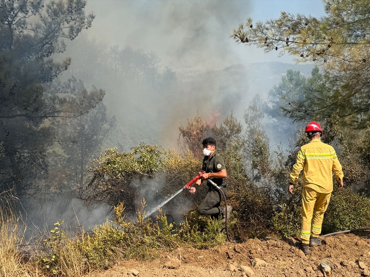 Adana'nın Kozan ilçesinde çıkan orman yangınına karadan ve havadan müdahale edildi.