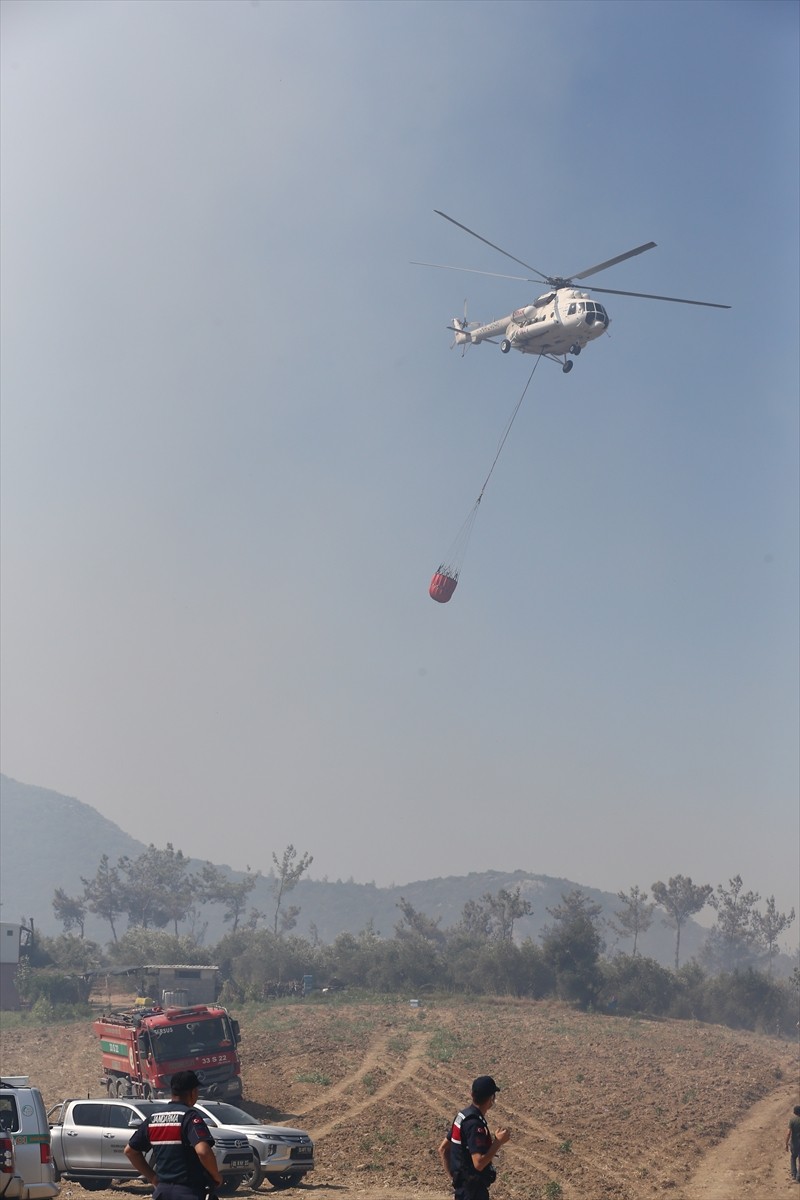 Adana'nın Kozan ilçesinde çıkan orman yangınına karadan ve havadan müdahale ediliyor.