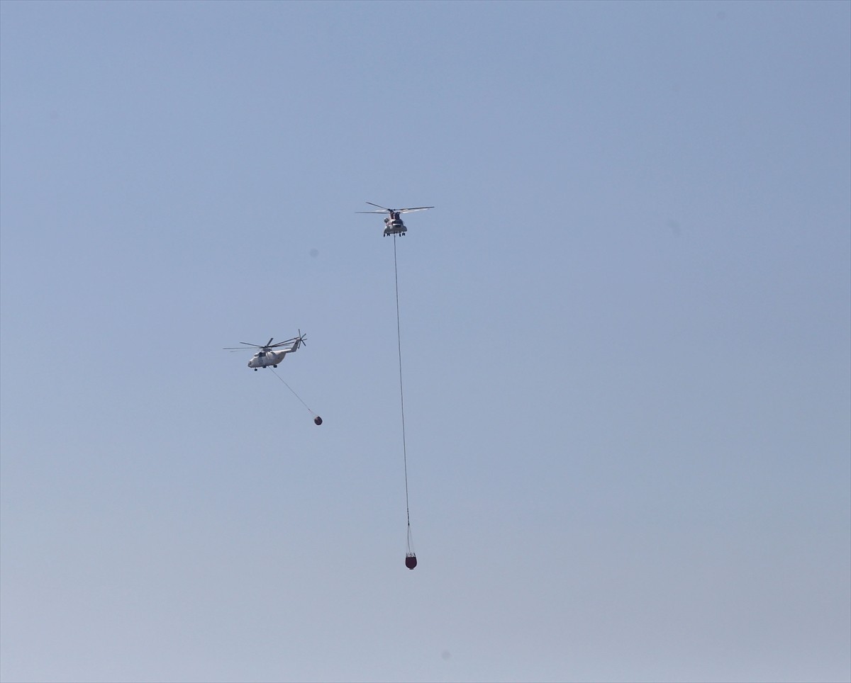 Adana'nın Kozan ilçesinde çıkan orman yangınına karadan ve havadan müdahale ediliyor.