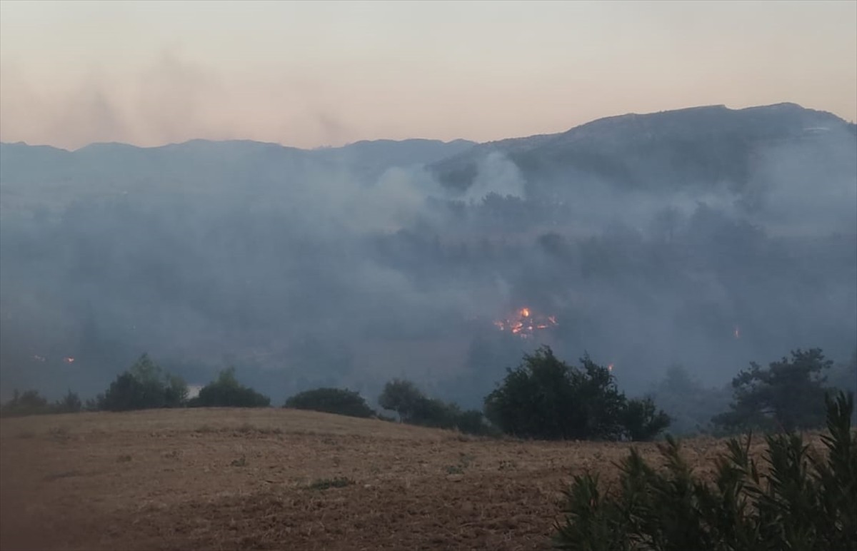 Adana'nın Kozan ilçesinde çıkan orman yangınına karadan ve havadan müdahale ediliyor.
